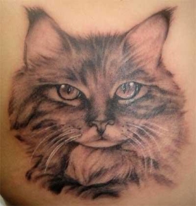 Cat-Tattoos-Graphics-42