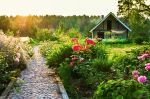 Country-house-with-flowers-wide-i