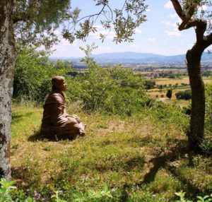 francis-meditating-near-san-damiano