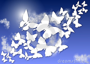 farfalle-e-cielo-34665237